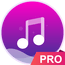 Music player pro version APK 4.8 (Paid) Android