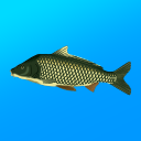 True Fishing Fishing simulator Mod APK 1.16.4.819 Android
