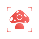 Picture Mushroom Mushroom ID APK 2.9.17 (Premium) Android