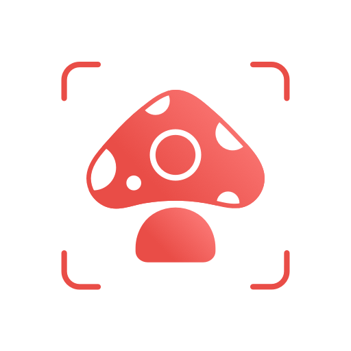 Download Picture Mushroom Mushroom Id.png