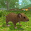 Mouse Simulator Forest Home MOD APK 1.35 (Increased Rewards No ADS) Android
