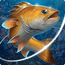 Fishing Hook MOD APK 2.5.5 (Unlimited Coins) Android