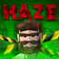 Survive zombie apocalypse HAZE MOD APK 0.23.204 (Free Shopping) Android