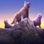 Wolf Simulator Animal Games MOD APK 1.0.4.3 (Unlimited Money Max Level) Android
