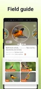 Picture Bird Bird Identifier MOD APK 2.9.24 (Premium Unlocked) Android