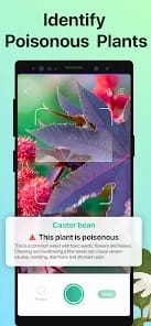 PictureThis Plant Identifier MOD APK 3.73 (Premium Unlocked) Android