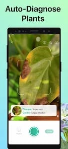 PictureThis Plant Identifier MOD APK 3.73 (Premium Unlocked) Android