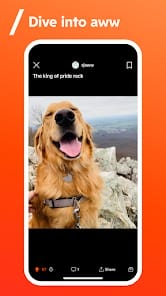 Reddit MOD APK v2024.36.0 (Premium Unlocked) Android