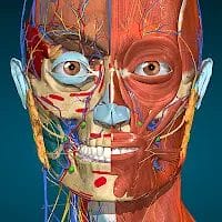Anatomy Learning 3D Anatomy MOD APK 2.1.386 (Full version Unlocked) Android icon