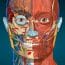 Anatomy Learning 3D Anatomy MOD APK 2.1.386 (Full version Unlocked) Android