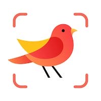 download-picture-bird-bird-identifier.png