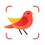 Picture Bird Bird Identifier MOD APK 2.9.24 (Premium Unlocked) Android