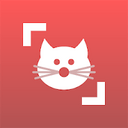 Cat Scanner Breed Recognition MOD APK 16.0.1 (Premium Unlocked) Android