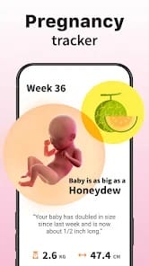 Ovulation Period Tracker MOD APK 1.092 (Premium Unlocked) Android