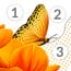 April Oil Painting by Number MOD APK 2.81.0 (Unlimited Money) Android