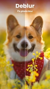 Enhance it AI Photo Editor MOD APK 4.1.4 (Premium Unlocked) Android