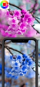 Color Changing Camera MOD APK 1.308 (Premium Unlocked) Android