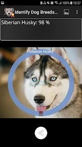Identify Dog Breeds Pro APK 26 (Full Version) Android