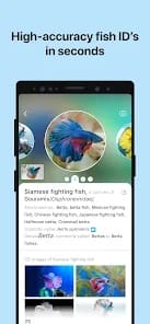Picture Fish Fish Identifier MOD APK 2.4.19 (Premium Unlocked) Android
