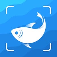 download-picture-fish-fish-identifier.png download-picture-fish-fish-identifier.png