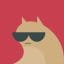 Sagon Dark Icon Pack APK 14.0 (النسخة الكاملة) أندرويد