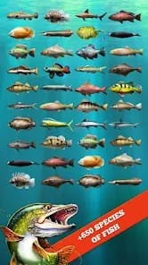 Lets Fish Fishing Simulator MOD APK 6.3.7 (Instant Fishing Fishing Line Never Breaks) Android