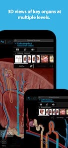 Human Anatomy Atlas 2024 APK 2023.05.005 (Mod All Unlocked) Android