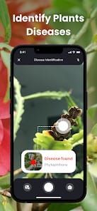 PlantIn Plant Identification MOD APK 1.15.0 (Premium Unlocked) Android