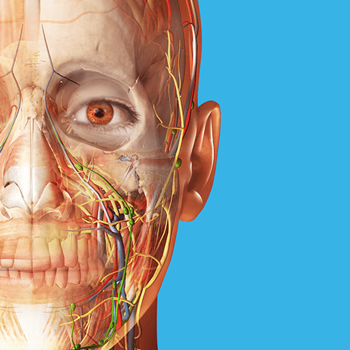 Human Anatomy Atlas 2024 APK 2023.05.005 (Mod All Unlocked) Android screenshot