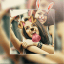 ویرایشگر عکس Picsa Collage MOD APK 1.9.7.5 (Pro Unlocked) Android
