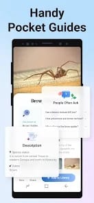 Picture Insect Bug Identifier MOD APK 2.8.26 (Premium Unlocked) Android