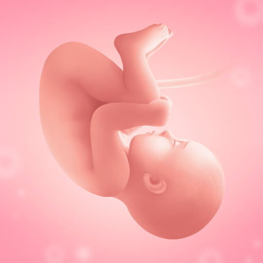 Pregnancy and Due Date Tracker MOD APK 3.101.0 (Gold Unlocked) Android screenshot