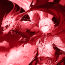 Granblue Fantasy MOD APK 21 (Menu God Mode No Ads) Android